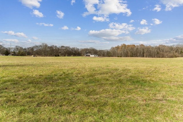 view of local wilderness featuring a rural view