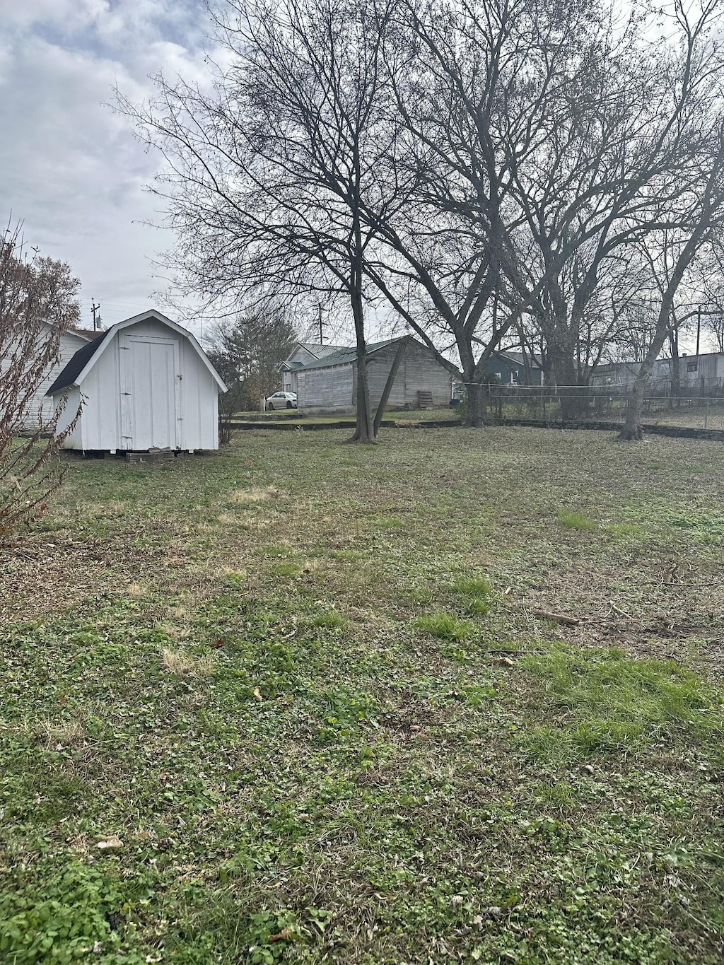 view of yard with a storage unit