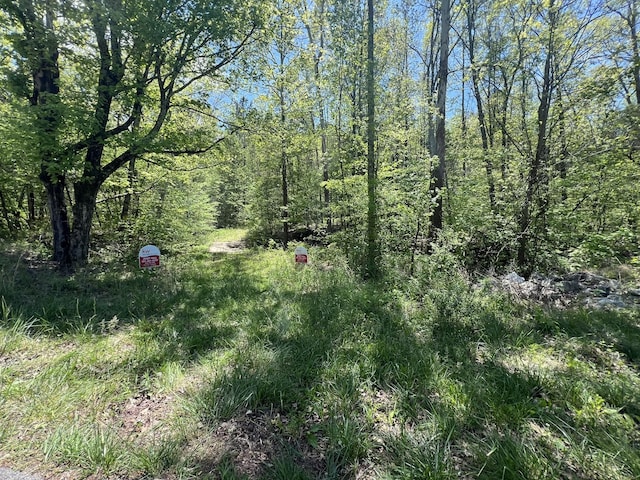 0 Valley St, Waverly, TN 37185