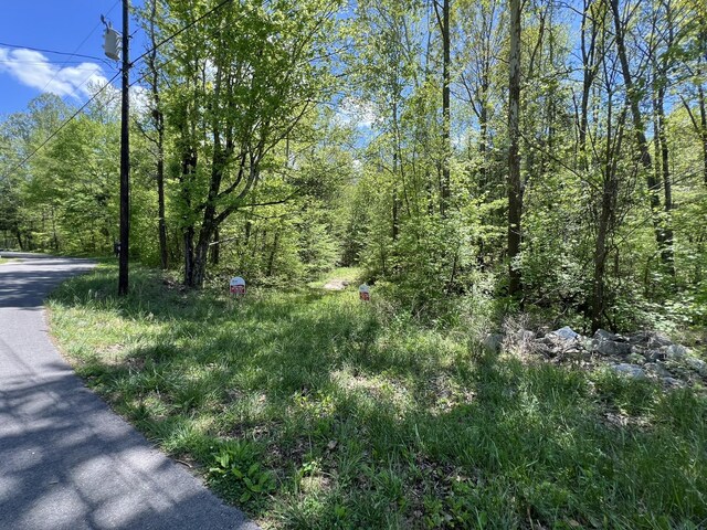 0 Valley St, Waverly, TN 37185