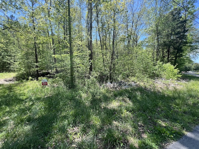 0 Valley St, Waverly, TN 37185