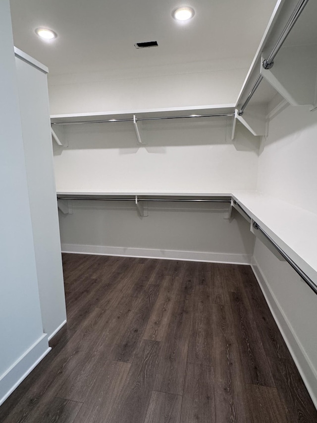 spacious closet featuring dark wood finished floors