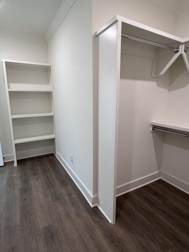 walk in closet with dark wood-style floors