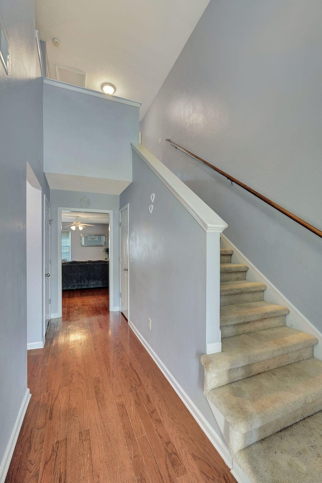 staircase featuring hardwood / wood-style floors and ceiling fan