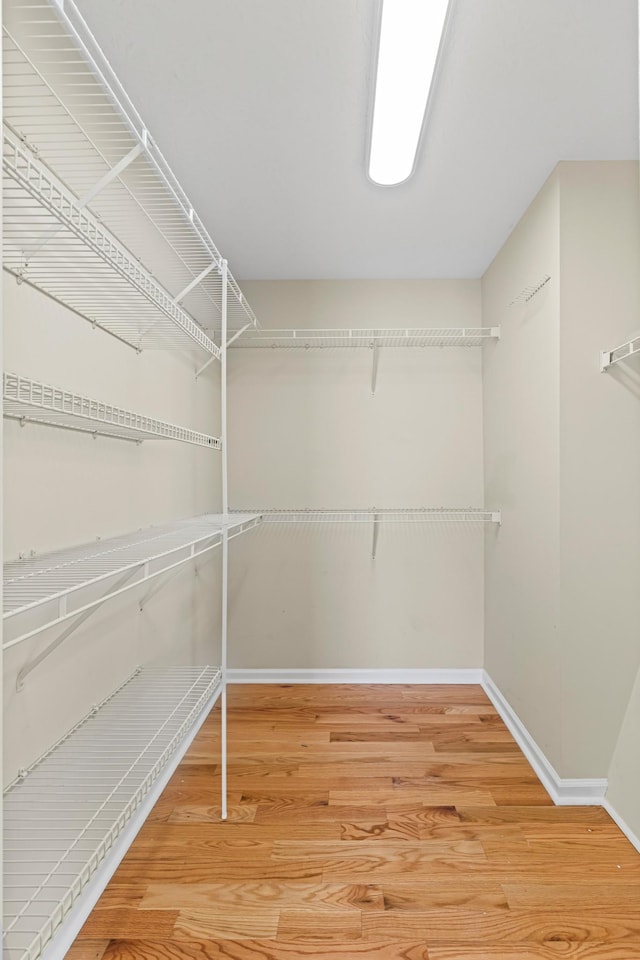 spacious closet featuring hardwood / wood-style floors