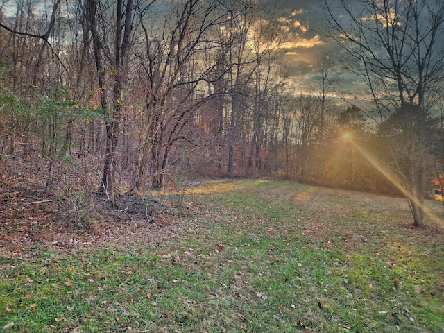 view of yard at dusk