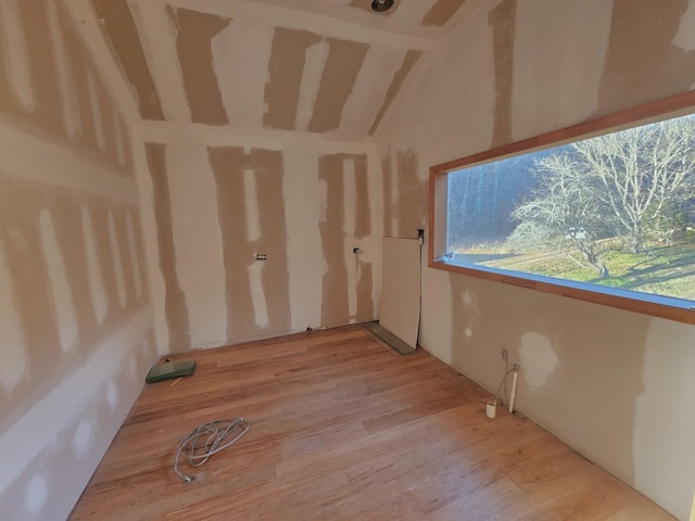 additional living space featuring light wood-type flooring