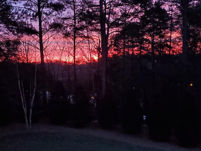 view of yard at dusk