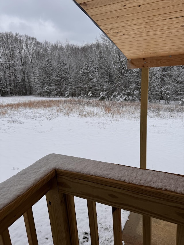 view of yard layered in snow