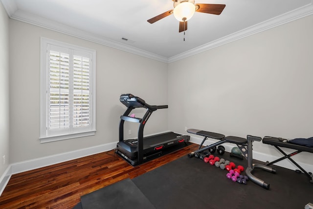 workout room featuring ceiling fan, dark hardwood / wood-style floors, and ornamental molding