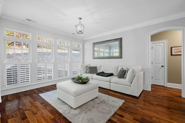 living room with crown molding, plenty of natural light, dark wood-type flooring, and a notable chandelier