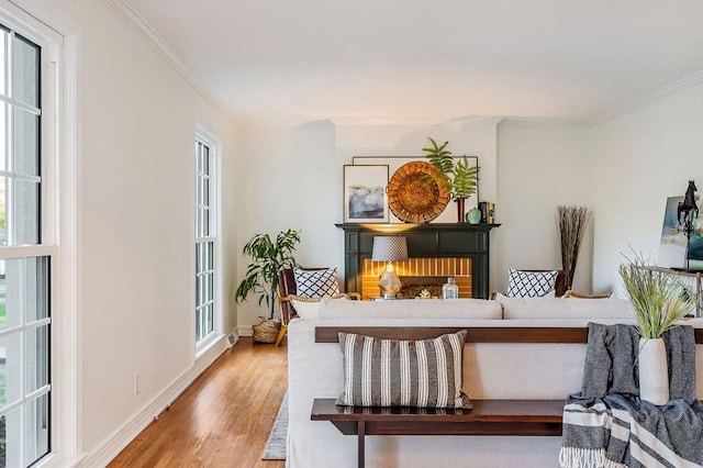 sitting room with wood-type flooring and ornamental molding