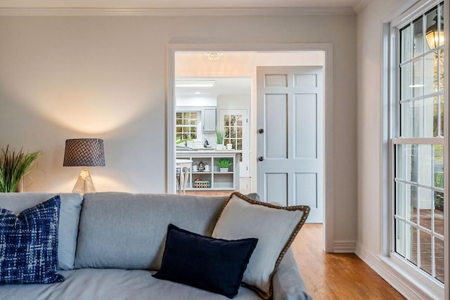 living room featuring wood-type flooring and crown molding