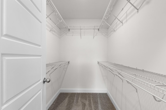 walk in closet featuring dark carpet