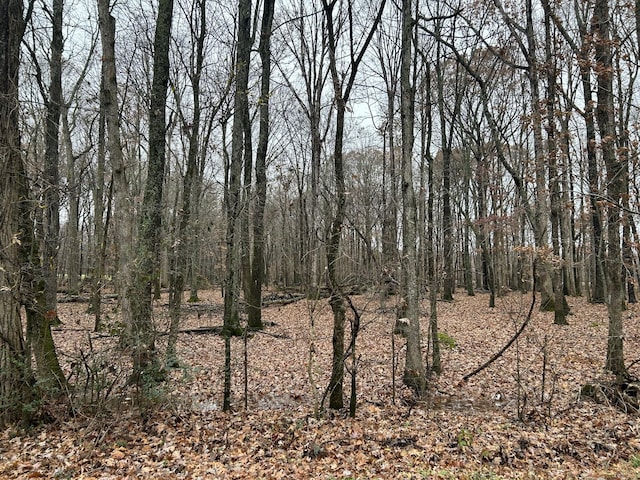 4002 Baggett Rd, Springfield TN, 37172 land for sale