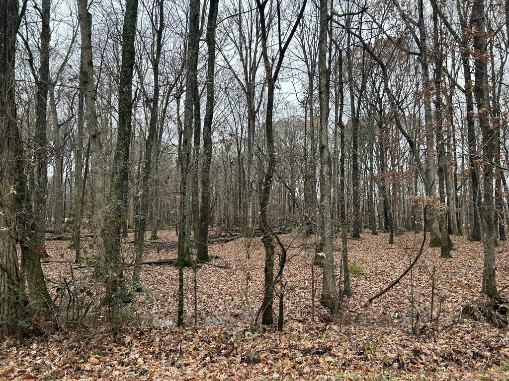 4002 Baggett Rd, Springfield, TN 37172 - photo 1