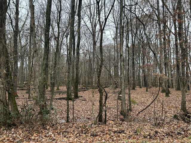 4002 Baggett Rd, Springfield, TN 37172 - photo 1