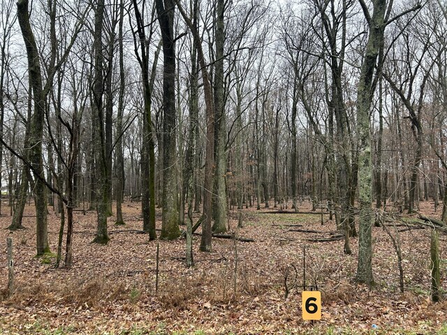 3972 Baggett Rd, Springfield, TN 37172 - photo 1
