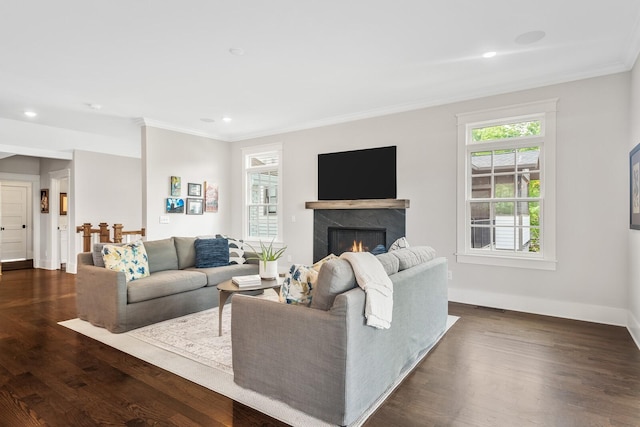 living room with dark hardwood / wood-style flooring, ornamental molding, and a fireplace