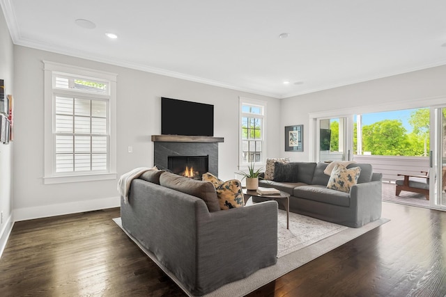 living room featuring plenty of natural light, dark hardwood / wood-style flooring, and a high end fireplace