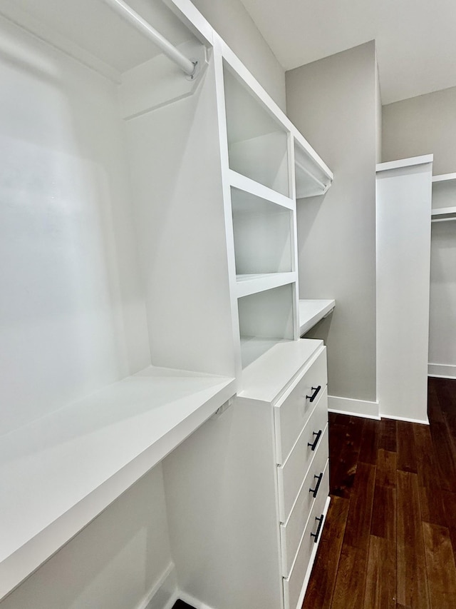 walk in closet featuring dark hardwood / wood-style flooring