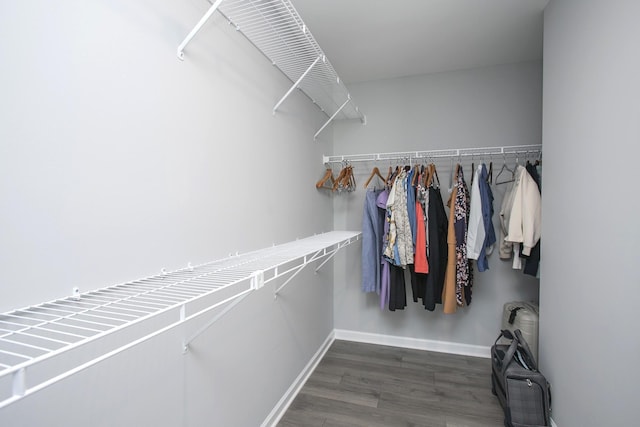 walk in closet featuring dark wood-type flooring