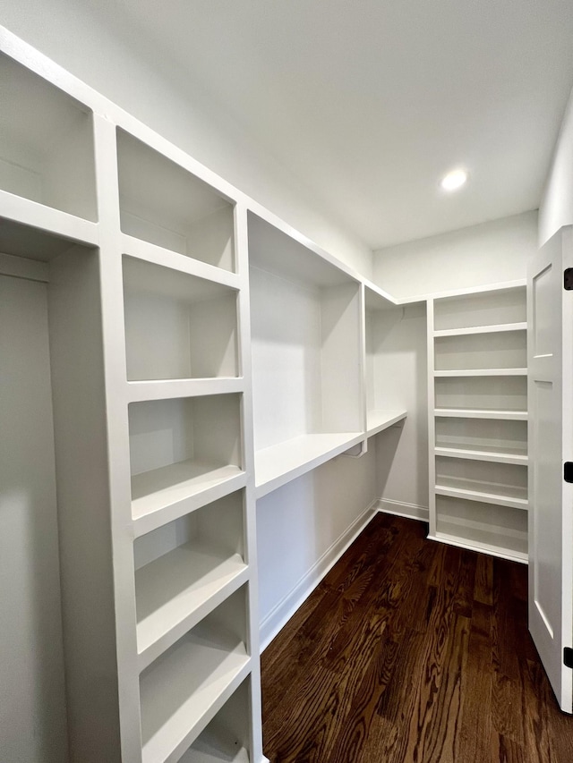 spacious closet with dark wood-type flooring