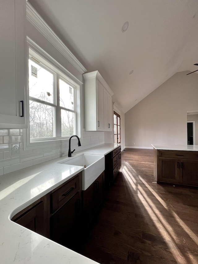 kitchen featuring plenty of natural light, dark hardwood / wood-style floors, lofted ceiling, and sink