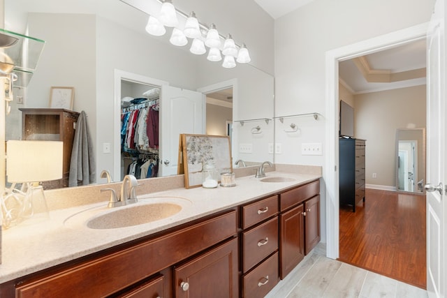 bathroom with vanity, a tray ceiling, and crown molding