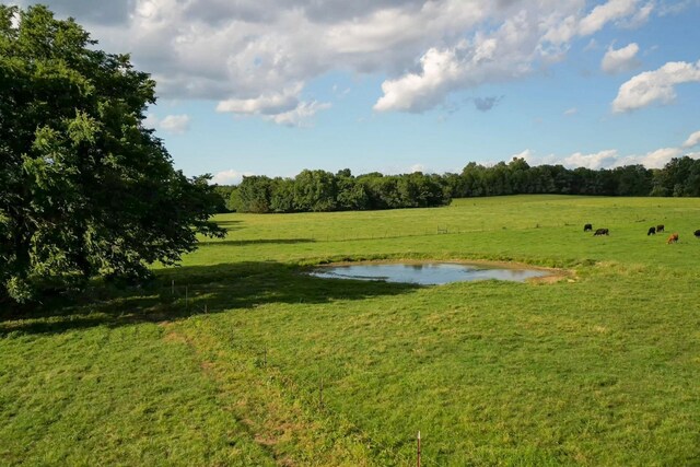 0 Coles Ferry Pike, Lebanon, TN 37087 - photo 6