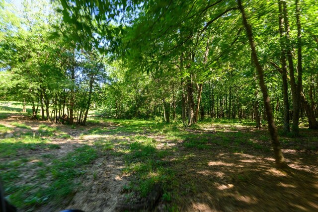 0 Coles Ferry Pike, Lebanon, TN 37087 - photo 44