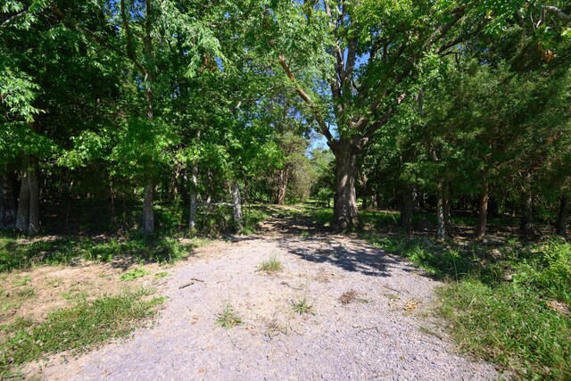 0 Coles Ferry Pike, Lebanon, TN 37087 - photo 45