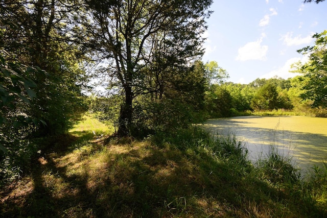 0 Coles Ferry Pike, Lebanon, TN 37087 - photo 46