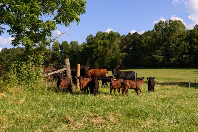 0 Coles Ferry Pike, Lebanon, TN 37087 - photo 39