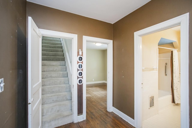 foyer entrance featuring dark hardwood / wood-style flooring