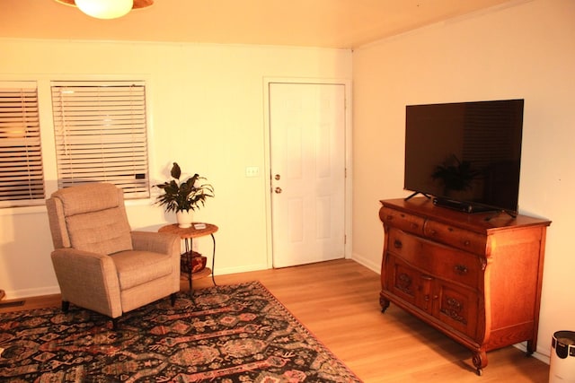 living area with light wood-type flooring