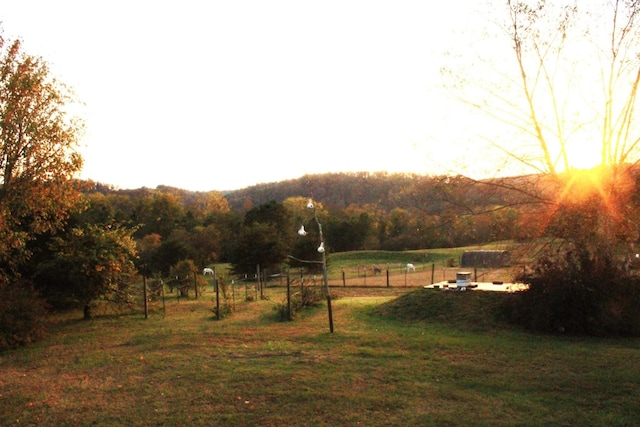 view of yard featuring a rural view