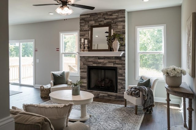 living room featuring plenty of natural light, wood-type flooring, and a fireplace