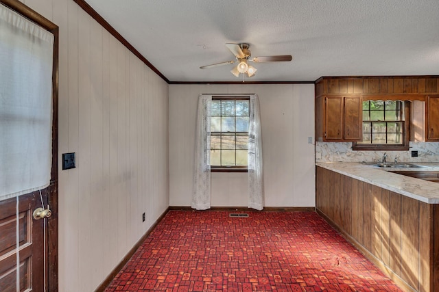 kitchen featuring decorative backsplash, ornamental molding, ceiling fan, wooden walls, and sink