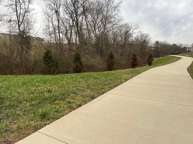 3396 Tucker Trce, Columbia, TN 38401 - photo 26