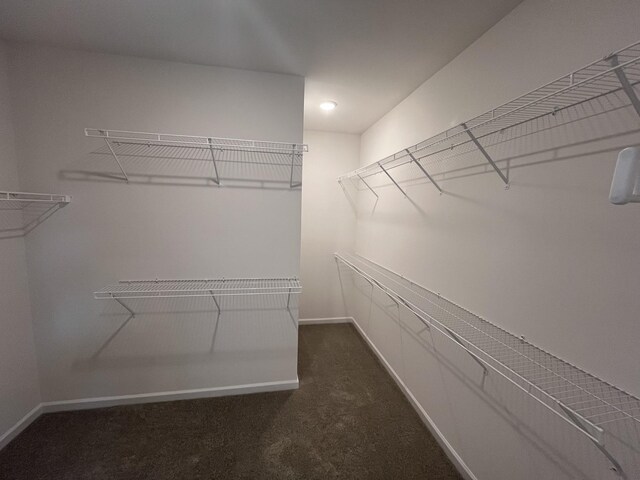 3396 Tucker Trce, Columbia, TN 38401 - photo 17
