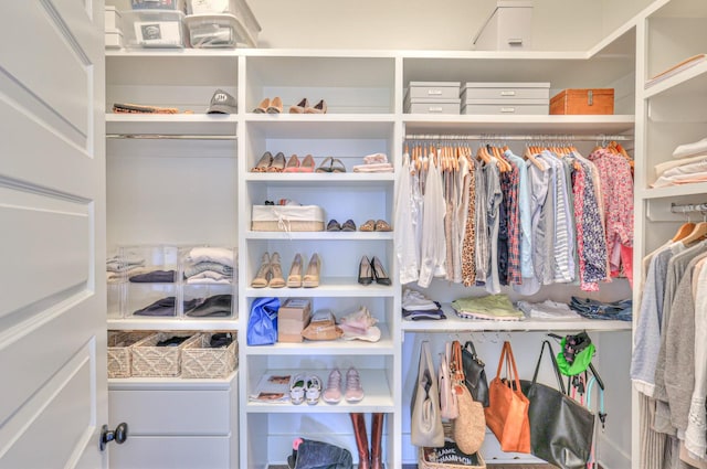 view of walk in closet