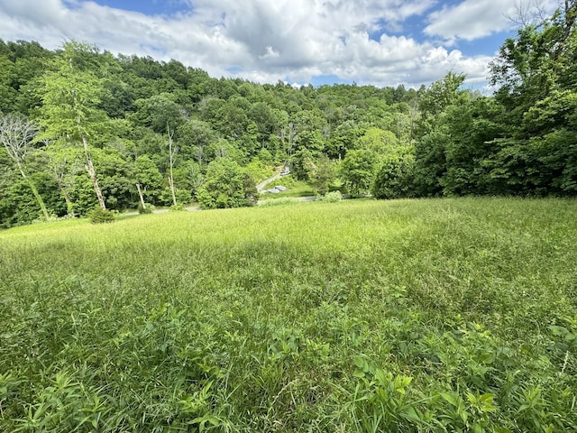 0 Buckeye Rd, Fayetteville TN, 37334 land for sale