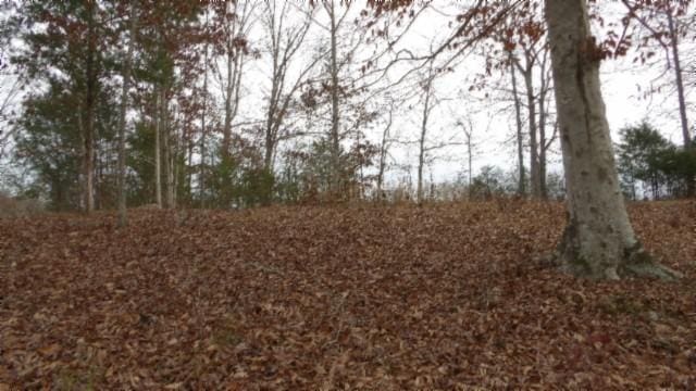 39 Sunset Ridge Ln, Hilham TN, 38568 land for sale