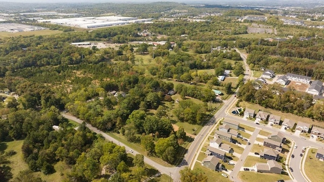 bird's eye view