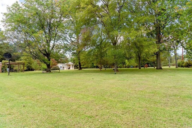 12433 Old Hickory Blvd, Antioch, TN 37013 - photo 7