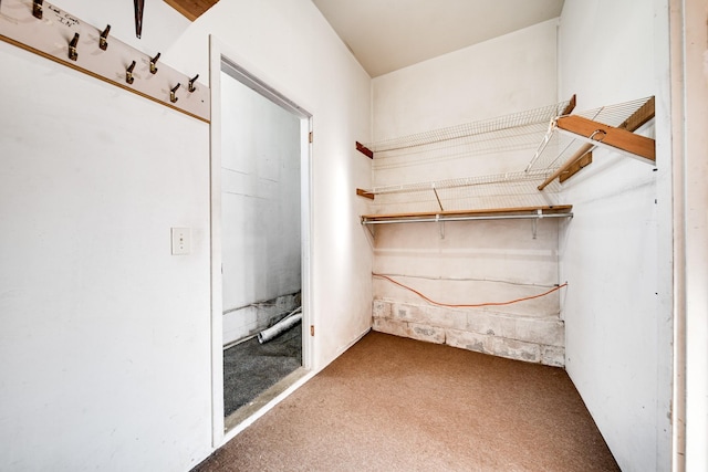 spacious closet featuring carpet