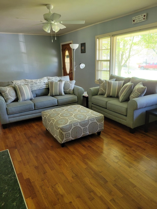 living room featuring ornamental molding, ceiling fan, and dark wood-type flooring