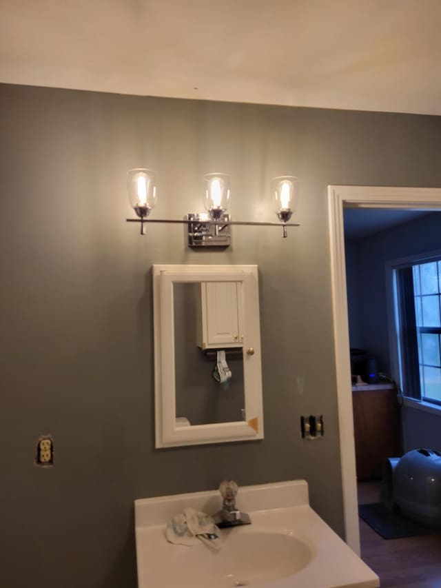 bathroom featuring hardwood / wood-style floors and sink