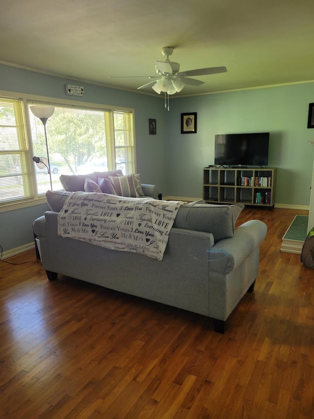 living room featuring ceiling fan, crown molding, and dark wood-type flooring